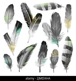 Bird black and white realistic feathers set  isolated vector illustration Stock Vector