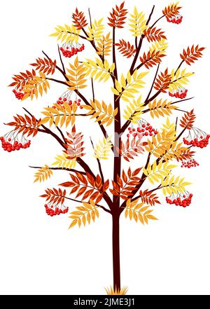 Autumn Maple Tree With Falling Leaves on White Background. Elegant Design with Ideal Balanced Colors. Vector Illustration. Stock Vector