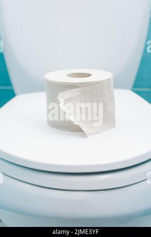 Torn roll of toilet paper lies on closed lid of toilet bowl Stock Photo