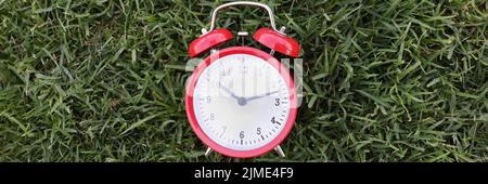 A red alarm clock on uncut green grass close-up Stock Photo