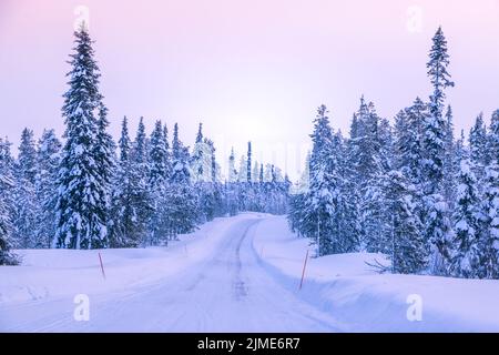 Winter Road through the Northern Forest Stock Photo
