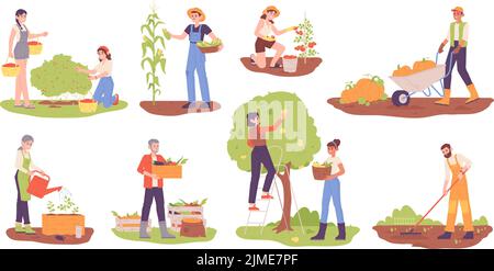 Farmers gathering harvest. Agriculture workers farming or picking berries fruits vegetables, people collect garden products, field ground plant work, garish vector illustration of farmer garden Stock Vector
