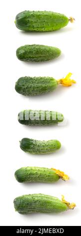 Collection of young green cucumbers isolated on white background. Set of several photos of fresh gherkin. Stock Photo