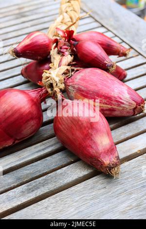 A bunch of red tropea onions Stock Photo