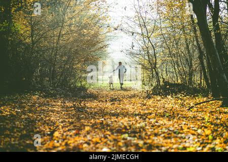 Happy dog and man playing in autumn forest Stock Photo