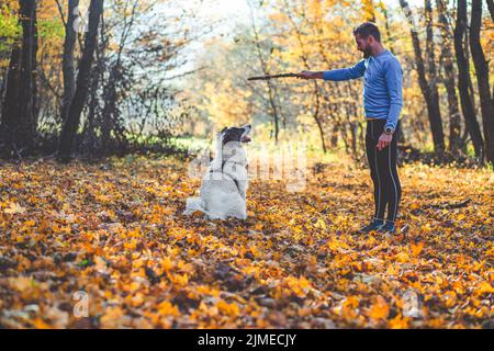 Happy dog and man playing in autumn forest Stock Photo