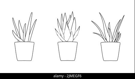 Continuous line drawing of a flowers pots. Beautiful flowers isolated white background. Vector illustration Stock Vector