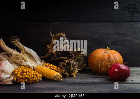 Autumn harvest concept with corn squash sunflowers and apples on rustic background Stock Photo