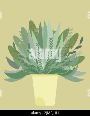doodle desert natural and exotic cactus plant Stock Vector Image & Art ...