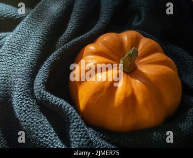 Pumpkin wrapped in a blue scarf. Autumn background with sunlight. Stock Photo