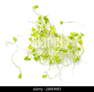 Fresh Broccoli Sprouts Isolated On White Background Stock Photo