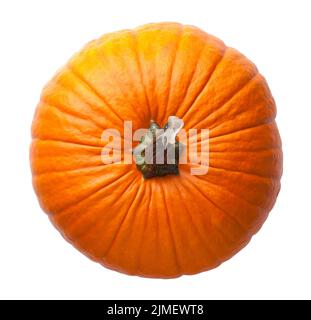 Fresh Orange Pumpkin Isolated On White Background Stock Photo