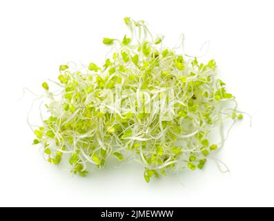 Healthy Broccoli Sprouts Isolated On White Background Stock Photo
