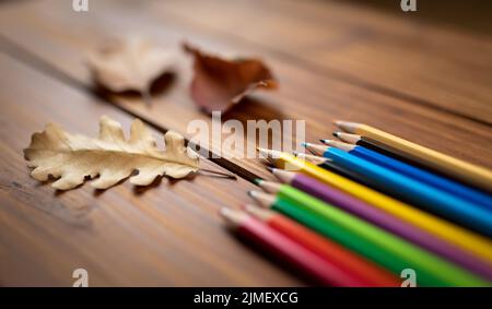 Colorful pencils and autumn leaves, back to school, fall background banner Stock Photo