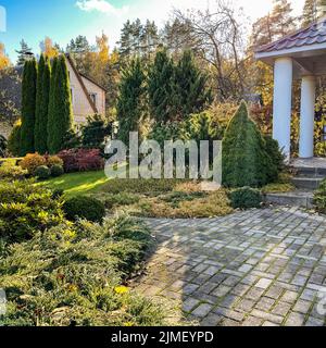 Landscaping of a garden with a green lawn, colorful decorative shrubs and shaped yew and boxwood, Buxus, in autumn Stock Photo