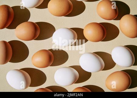 Chicken eggs white and brown background Stock Photo