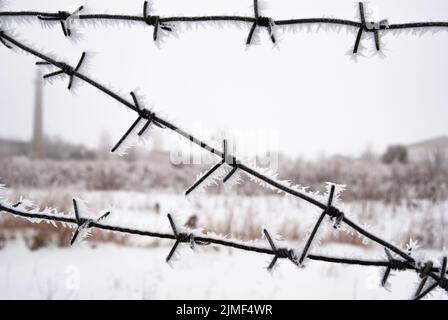 Barbed wire fence covered with frost winter time around closed area Stock Photo
