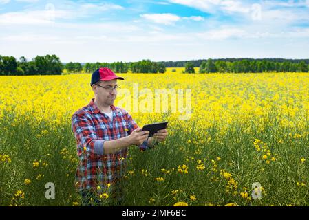 Middle aged caucasian male farm worker inspecting canola stalks with digital tablet computer at field sunny summer day Stock Photo