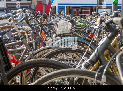 Many Bicycles on a Sunny Day in Amsterdam Stock Photo