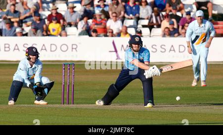 CHELMSFORD ENGLAND - AUGUST  05 :Essex's Grant Roelofsen  during Royal London One-Day Cup match between Essex Eagles CCC against Derbyshire CCC at The Stock Photo