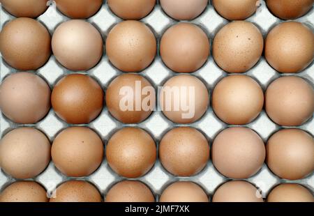 Top view on filled egg carton. Stock Photo