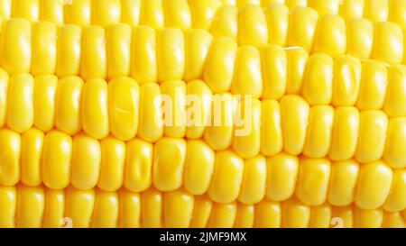 Ripe fresh organic sweet corncob closeup background Stock Photo