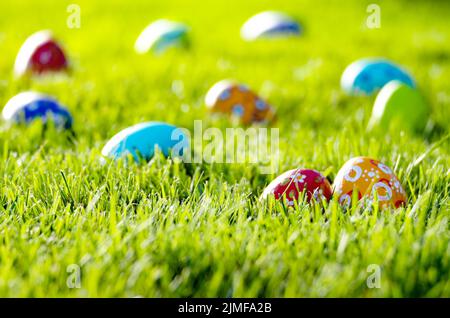 Easter eggs lying on green spring grass Stock Photo