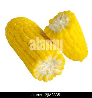 Organic sweet corn cobs isolated on white background Stock Photo