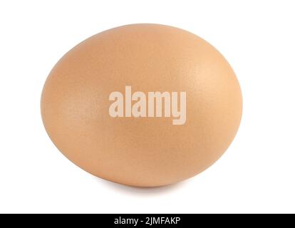 Chicken egg isolated on white background. Stock Photo
