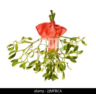 A bunch of mistletoe with a red bow, isolated on a white background ...
