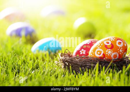 Easter eggs in the nest on green spring grass Stock Photo