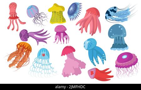 Jellyfish cartoon isolated medusa and biology jelly fish. Purple marine set and water life animal vector illustration. Colorful exotic undersea wildli Stock Vector