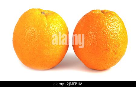 Two ripe grapefruits isolated on white background. Whole nutritious citrus. Stock Photo