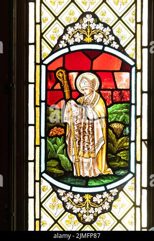 stained glass window in liverpool anglican cathedral Stock Photo