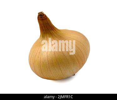 One yellow onion isolated on white background. Stock Photo