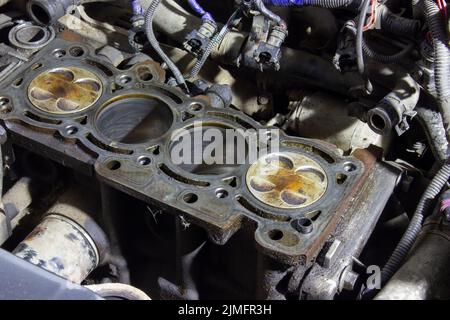 4 cylinders of the car engine in oil, the engine disassembled during repair. Stock Photo