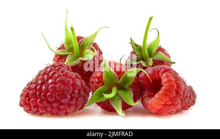Raspberries with peduncles, fresh and ripe, isolated on white background. Stock Photo