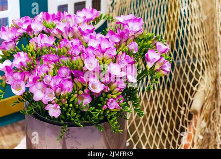 Flower bouquet of pink alstroemeria background Stock Photo