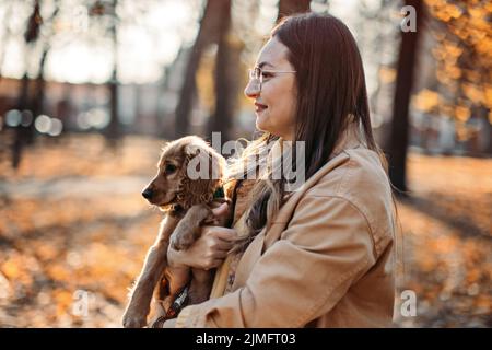 Cute English cocker spaniel puppy in the hands of the owner in autumn park. Stock Photo