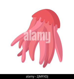 Jellyfish cartoon isolated medusa and biology jelly fish. Marine and water life animal vector illustration. Colorful exotic undersea wildlife with ten Stock Vector