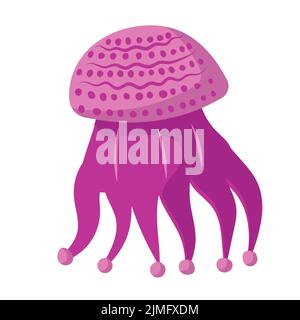 Jellyfish cartoon isolated medusa and biology jelly fish. Marine and water life animal vector illustration. Colorful exotic undersea wildlife with ten Stock Vector