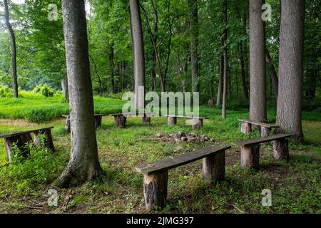 Rustic empty benches around an idyllic woodland fire pit Stock Photo