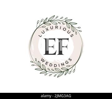 EF Initials letter Wedding monogram logos template, hand drawn modern minimalistic and floral templates for Invitation cards, Save the Date, elegant Stock Vector