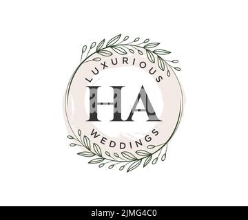 HA Initials letter Wedding monogram logos template, hand drawn modern minimalistic and floral templates for Invitation cards, Save the Date, elegant Stock Vector