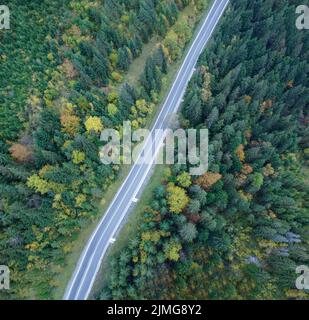 Straight road through the forest top view. Stock Photo