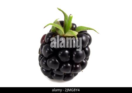 Blackberry isolated on white background, clipping path, full depth of field. Stock Photo