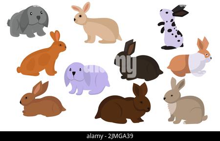 Rabbit or hare cartoon bunny pet. Animals icons and farm set breed easter. Rodent isolated white vector illustration and adorable furry animal. Drawin Stock Vector