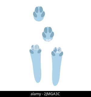 Hare footprints concept. Cute rabbit footprints. Isolated illustration on a white background. Vector illustration. Stock Vector