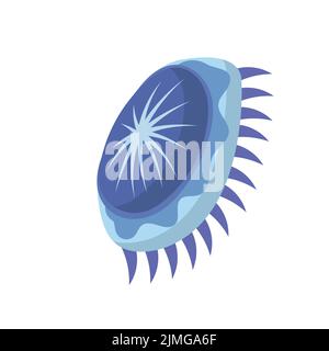 Jellyfish cartoon isolated medusa and biology jelly fish. Marine and water life animal vector illustration. Colorful exotic undersea wildlife with ten Stock Vector