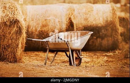 An empty metal wheelbarrow stands not far from large bales of dry hay. Harvesting of fodder for livestock. Agriculture and gardening. Stock Photo